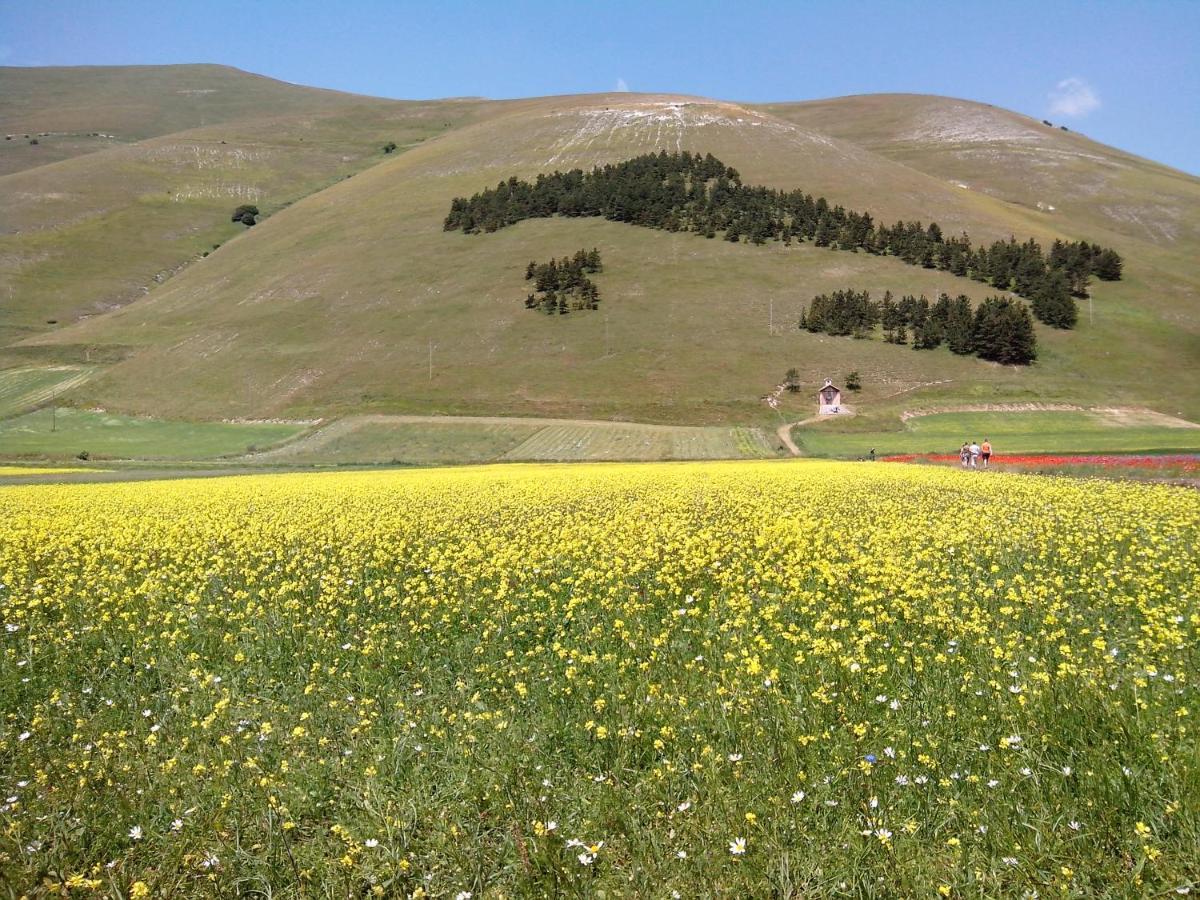 B&B Nonna Rosa Norcia Exteriör bild